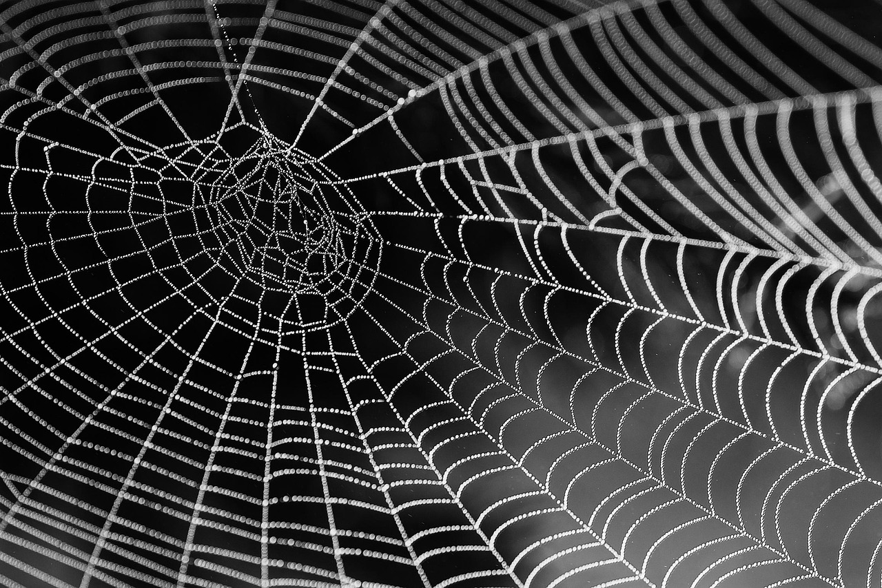 découvrez ce qu'est l'accessibilité web, pourquoi elle est essentielle pour garantir l'accès à tous les utilisateurs, et comment mettre en place des bonnes pratiques pour rendre votre site conforme aux standards d'accessibilité.