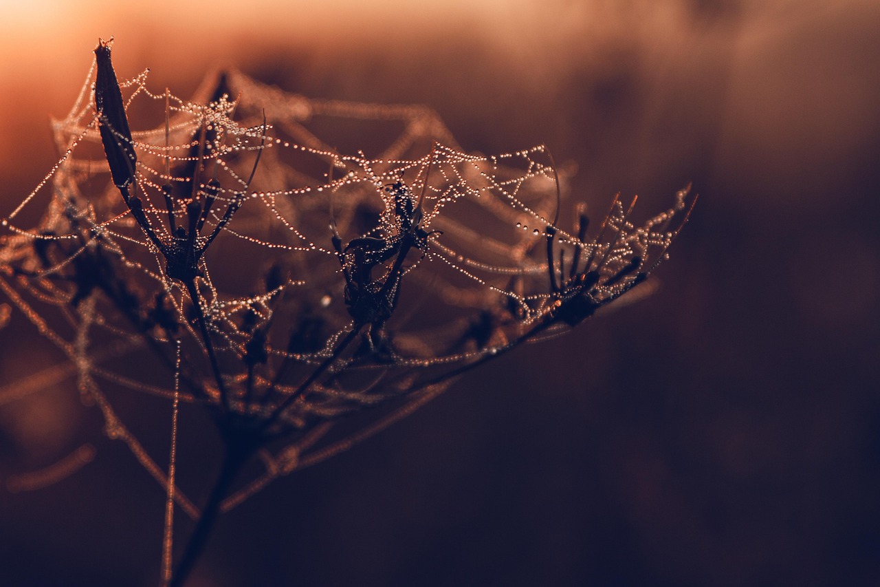 renforcez la sécurité de votre site web grâce aux meilleures pratiques de la cybersécurité. protégez vos données, prévenez les cyberattaques et découvrez les solutions essentielles pour une navigation en ligne sécurisée.