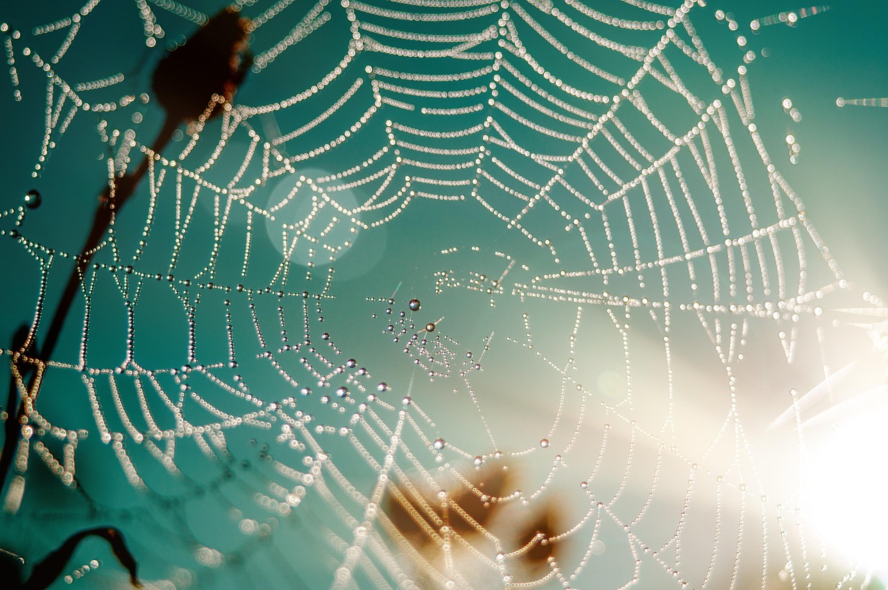 Qu’est-ce que l’accessibilité web et pourquoi est-elle négligée ?
